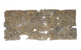 “Befallen” is a print series by Anna Kubelik, consisting of prints made from spruce bark affected by bark beetle infestation.