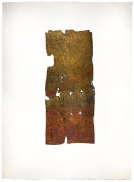 “Befallen” is a print series by Anna Kubelik, consisting of prints made from spruce bark affected by bark beetle infestation.