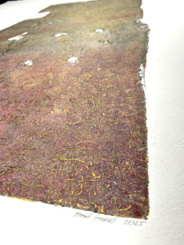 “Befallen” is a print series by Anna Kubelik, consisting of prints made from spruce bark affected by bark beetle infestation.