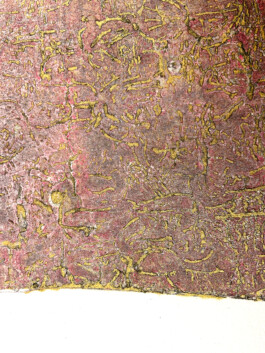 “Befallen” is a print series by Anna Kubelik, consisting of prints made from spruce bark affected by bark beetle infestation.