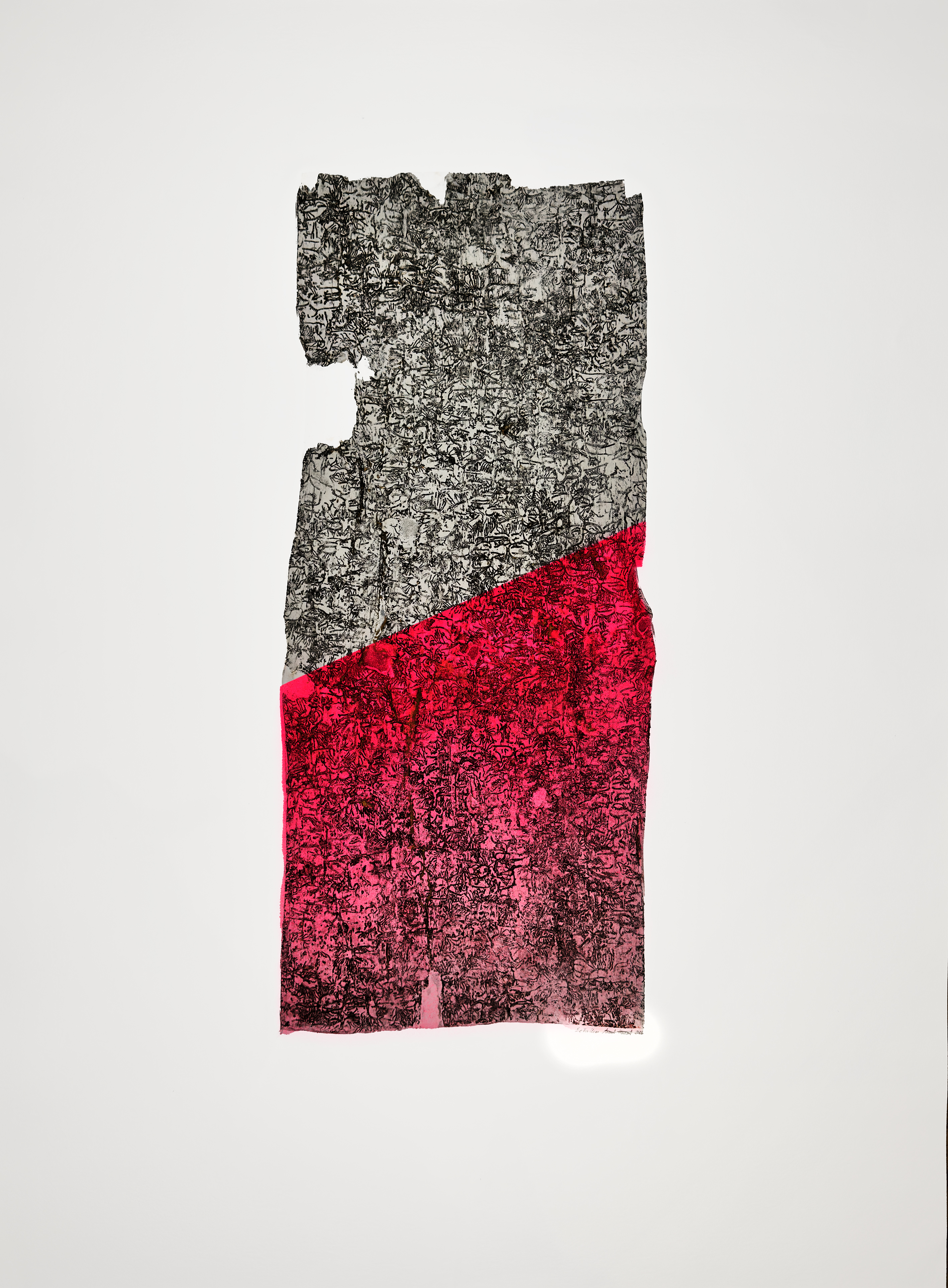 “Befallen” is a print series by Anna Kubelik, consisting of prints made from spruce bark affected by bark beetle infestation.